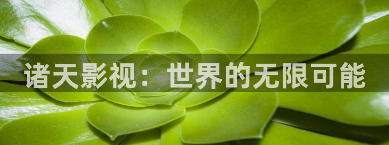 紅桃免費高清電影在線觀看